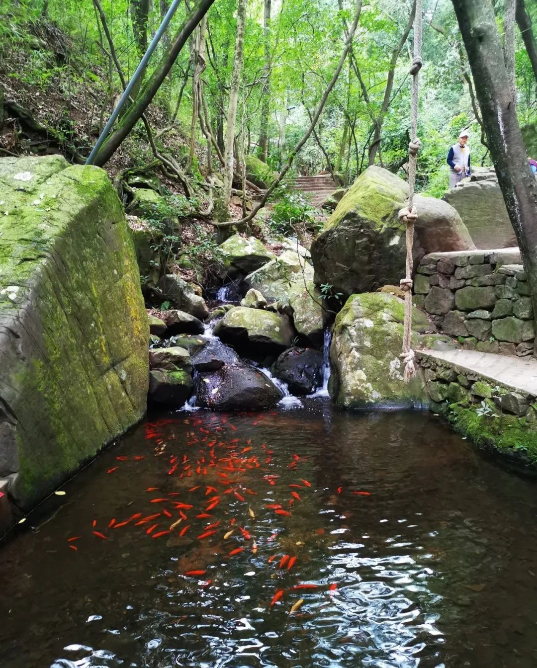 昆明旅游漂流攻略图,昆明夏季旅游攻略一日游景点