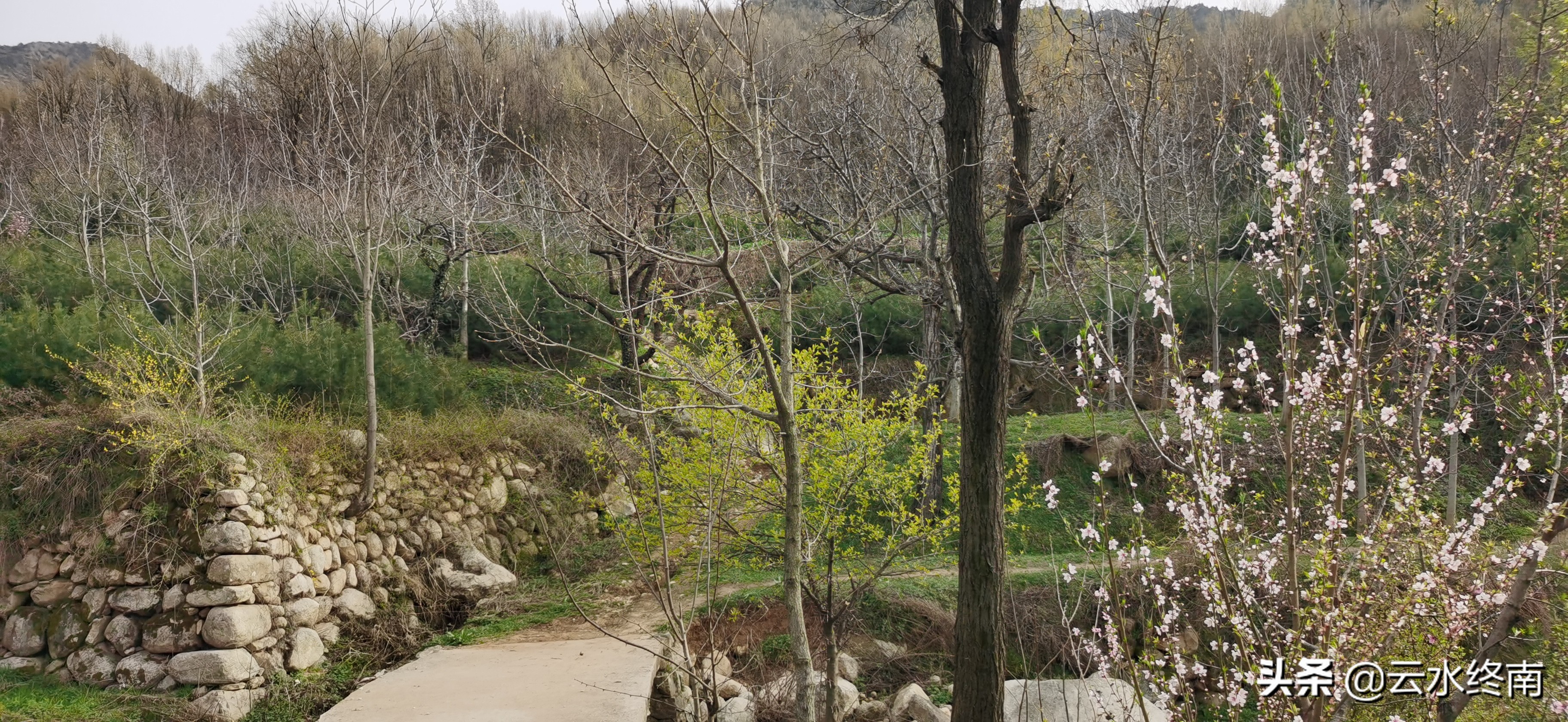野逛桐花沟，我想欺骗一个老汉却被识破，不料却发现了一个峪口
