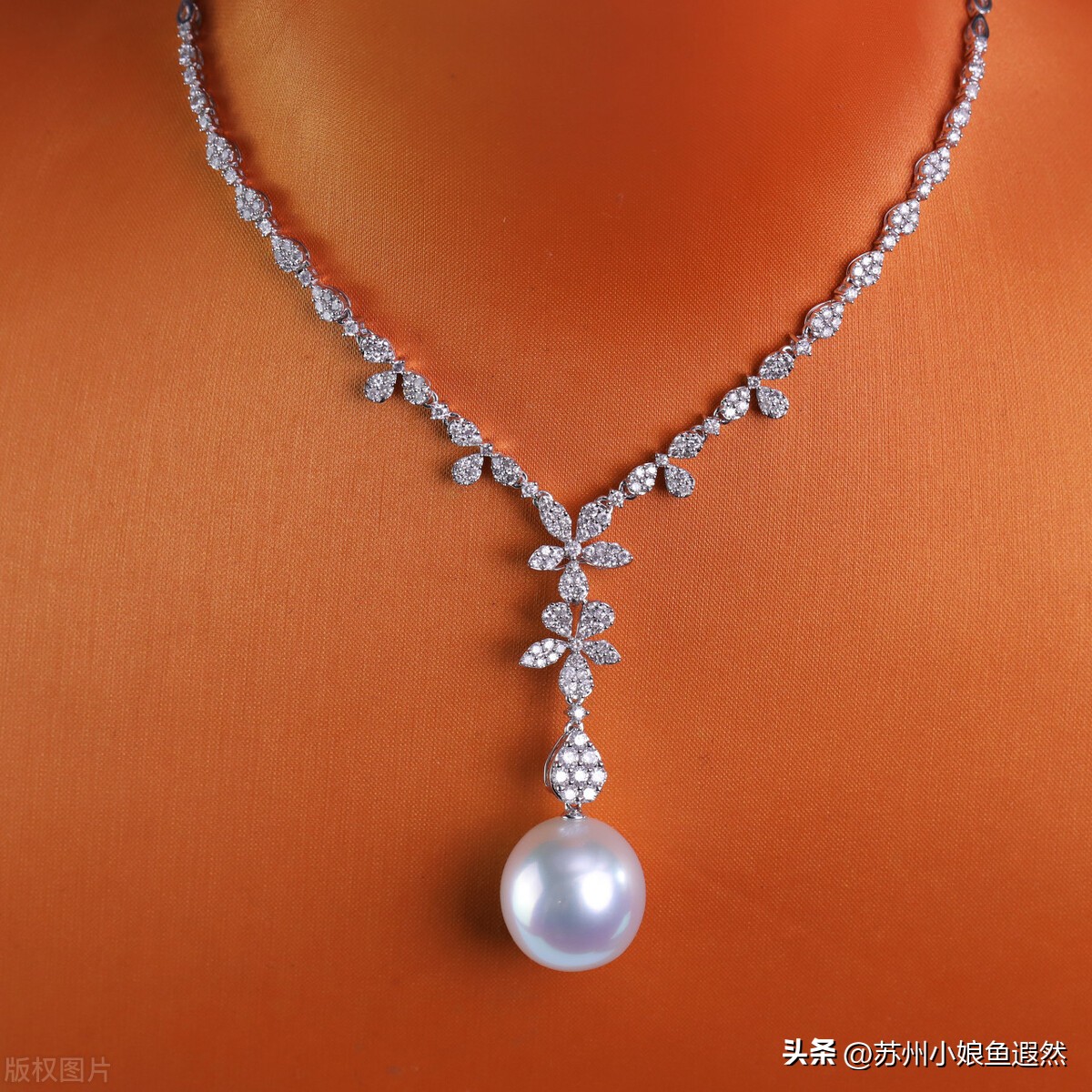 澳白素钉出圈了，明星和熊出没电影都有大白