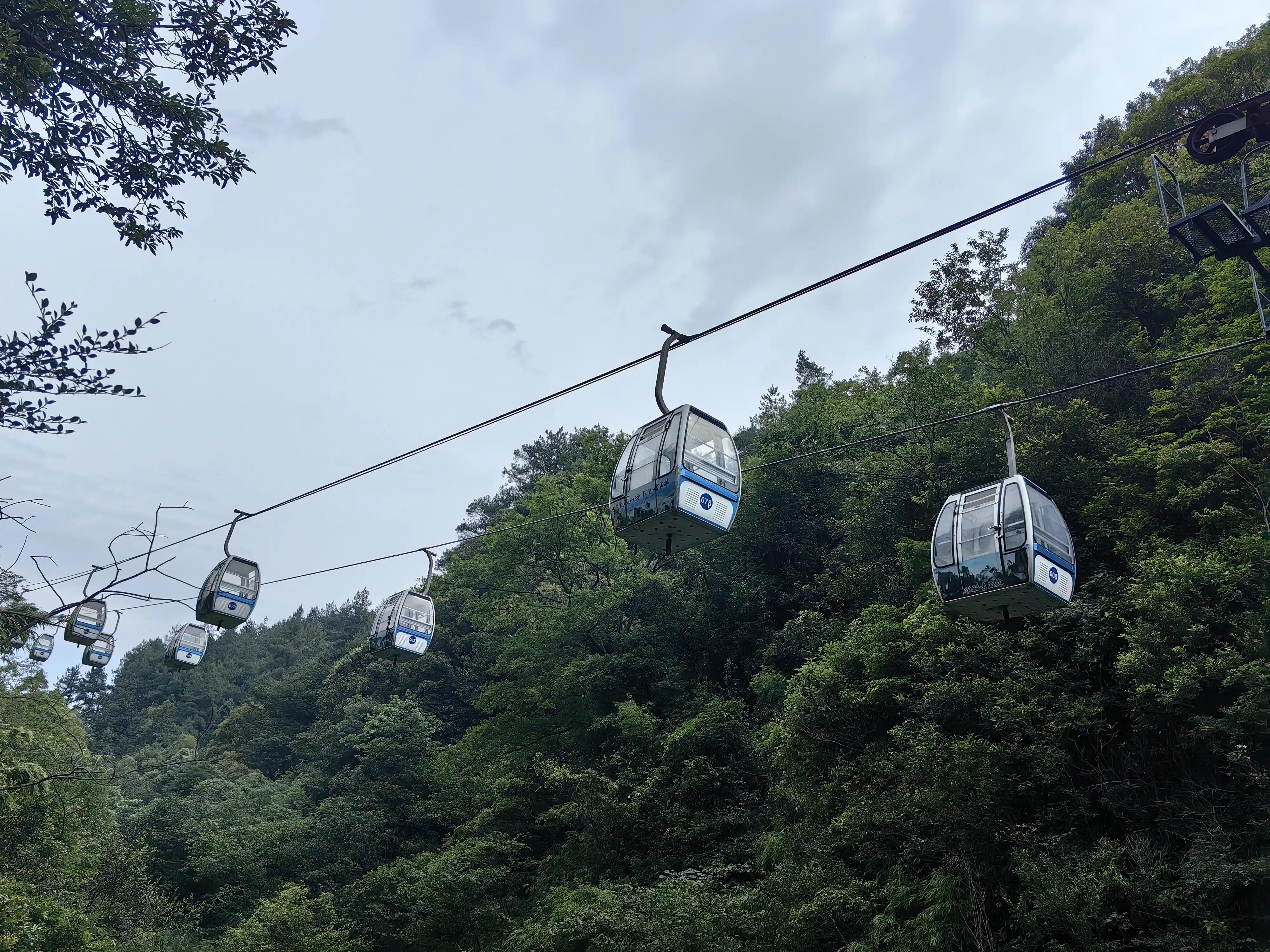 重庆万盛黑山谷天气预报,重庆5a景区的山