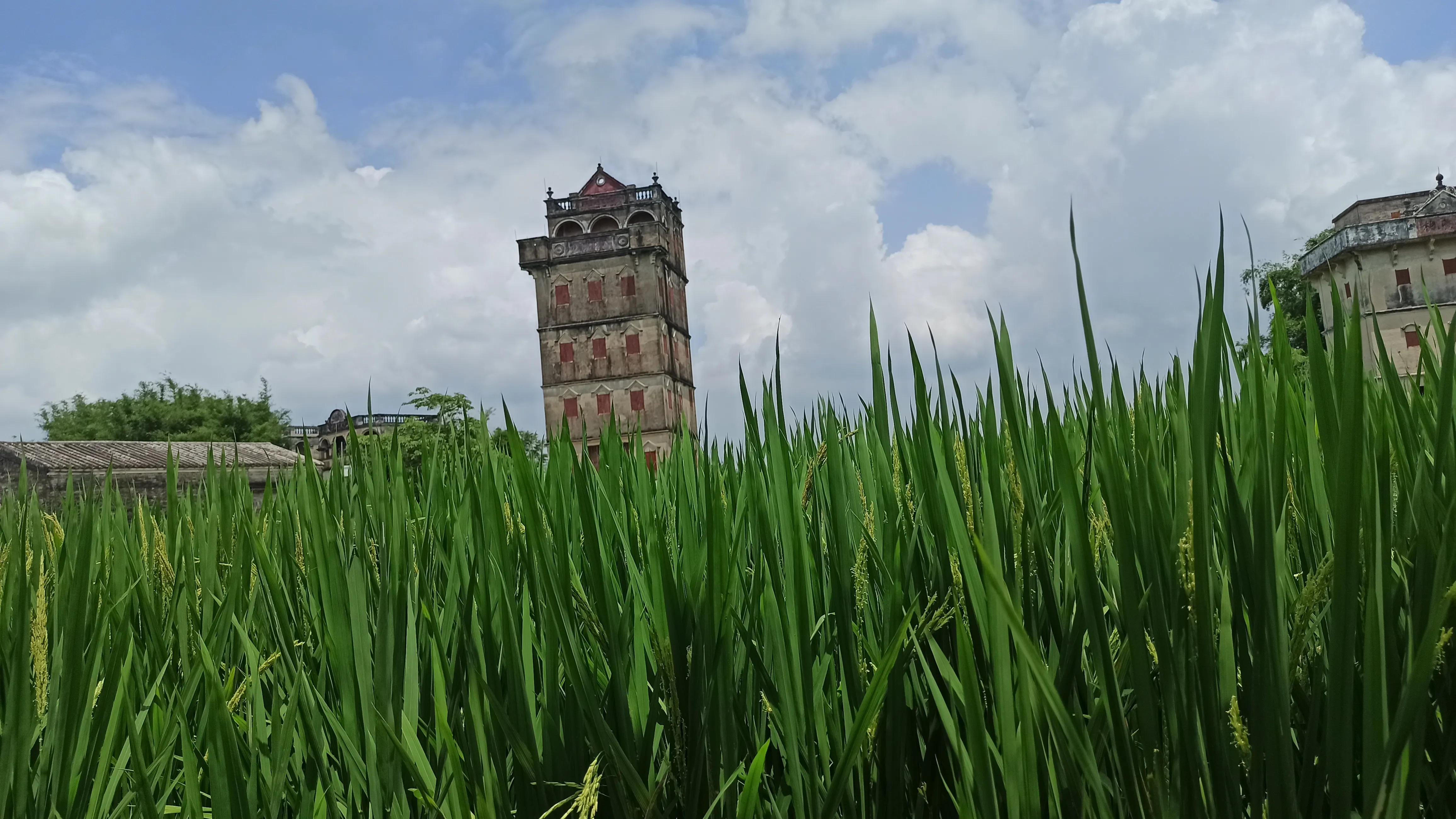 没钱怎么办可以找谁借钱,没钱怎么办怎么借钱