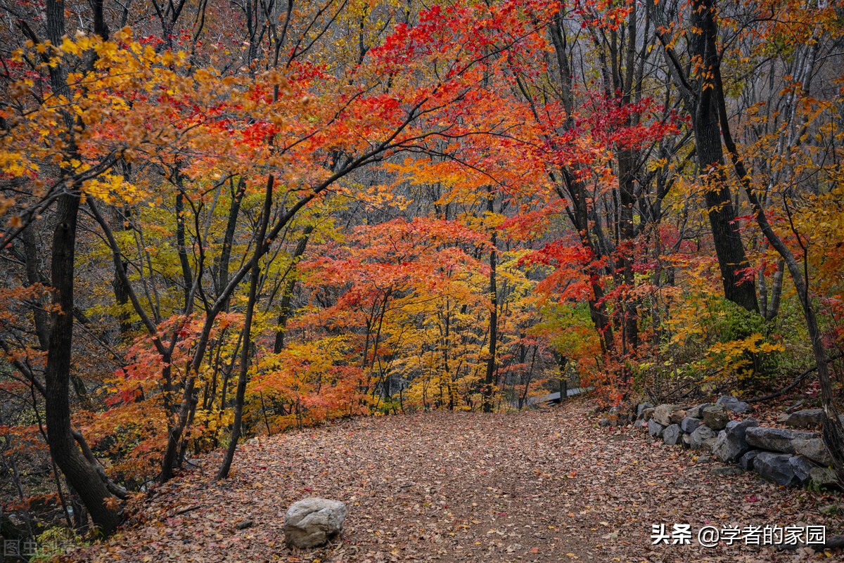 梅州坐月子用什么洗澡,梅州人坐月子吃什么
