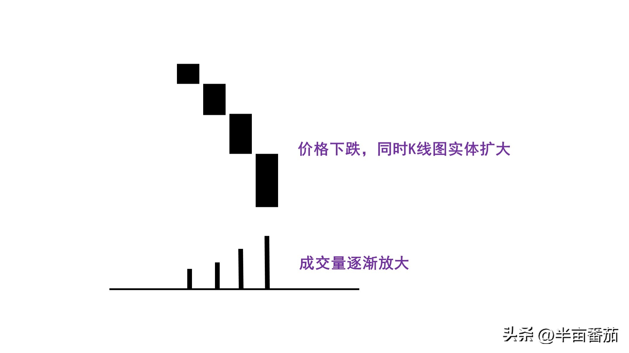 阅读量分析的几个方面,阅读量整体数据