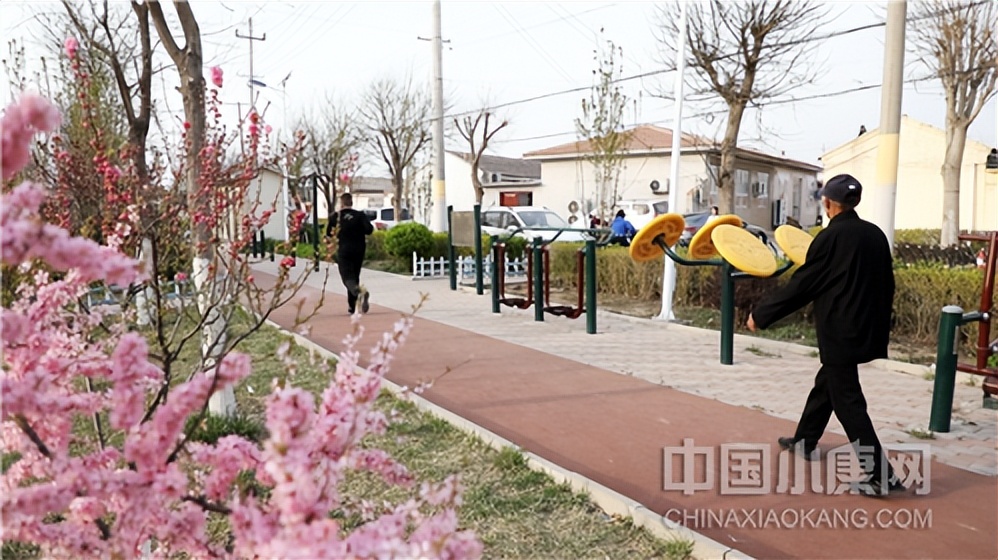 天津市乡村振兴典型案例,小村大事免费阅读