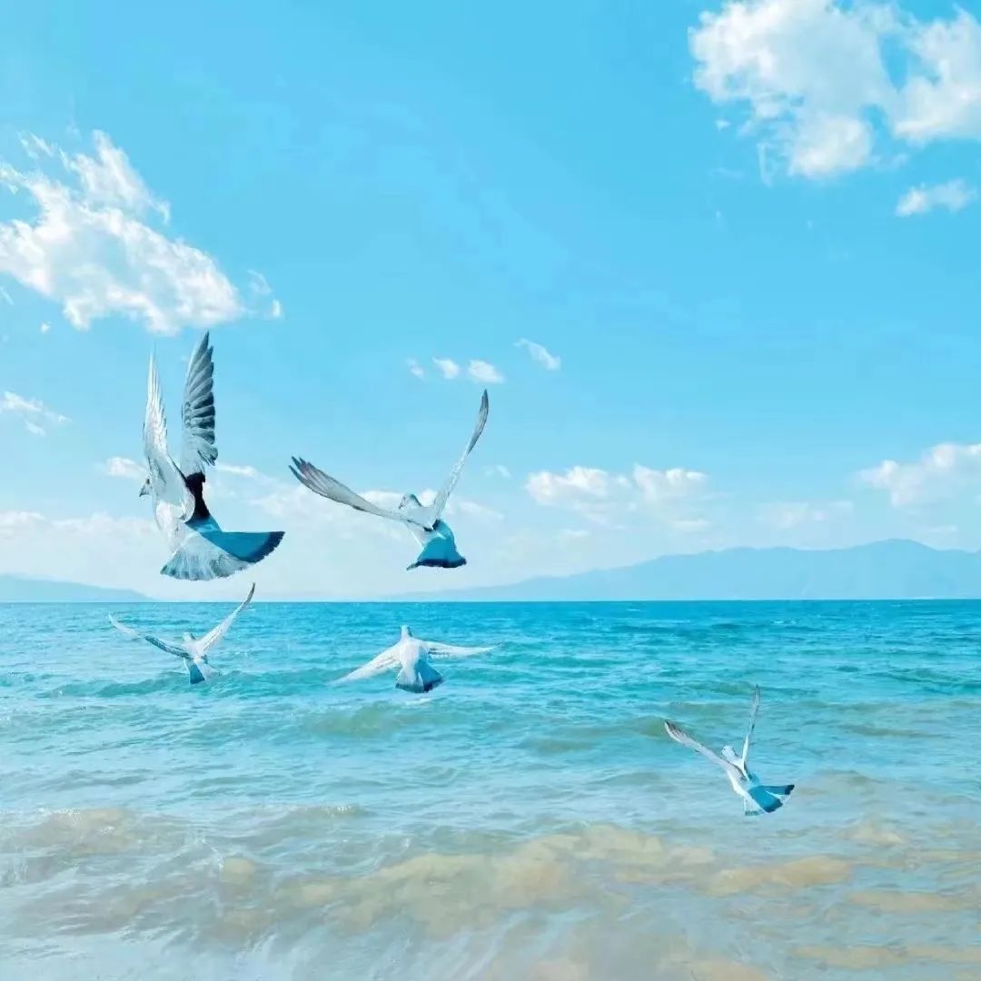 治愈系背景图高清版风景,风景素材治愈系哪里找