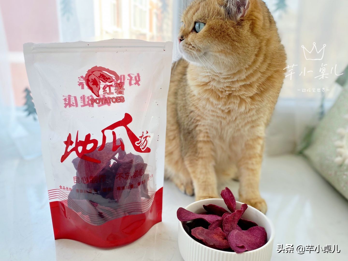 如果你迟早会走进一家红薯坊/地瓜坊，那这些事情需要你提前知道