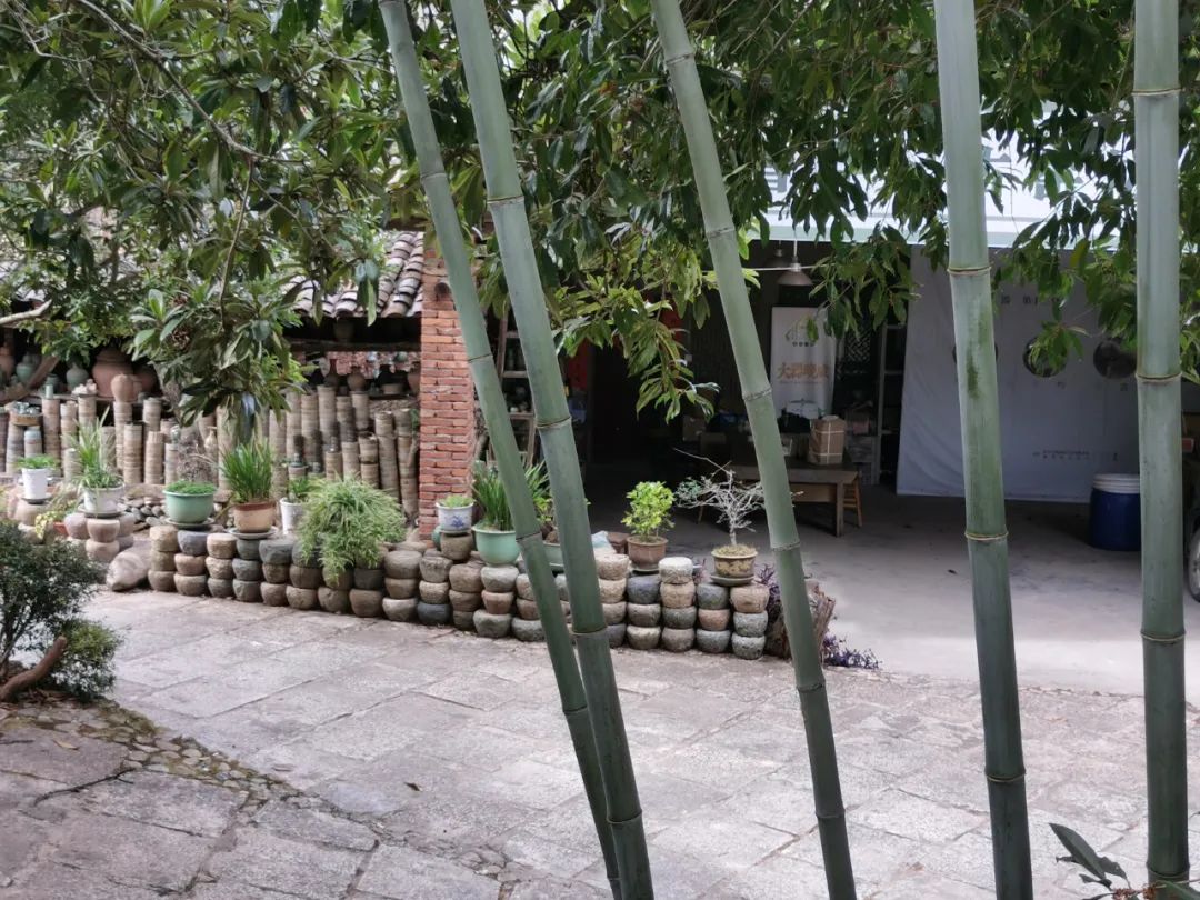 浙西南环游，喜欢龙泉，一座干干净净的山间小城