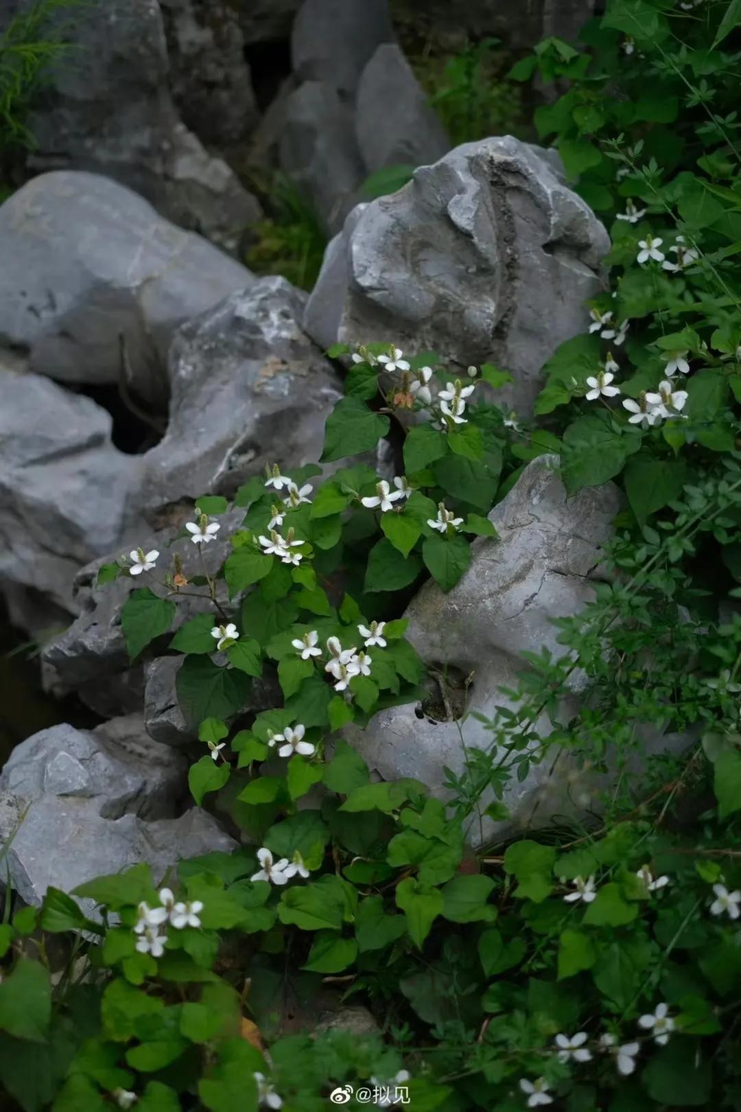 闫群：热烈的群山