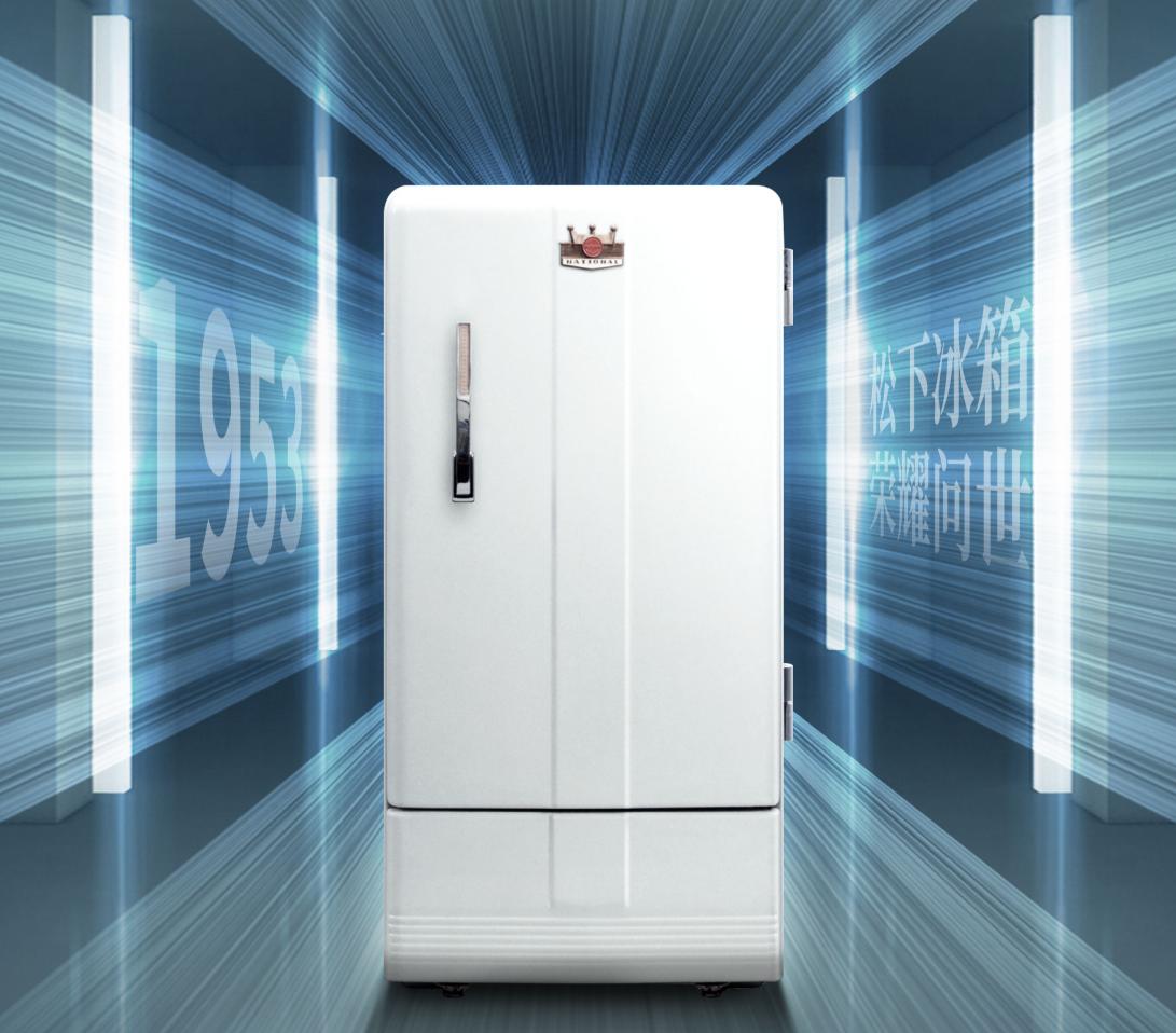 松下冰箱挑选,大海豚松下冰箱