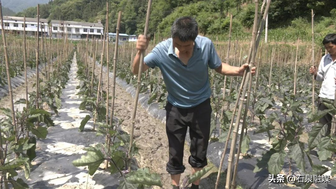 特色富硒乡村产业振兴,助力乡村经济发展富硒产业