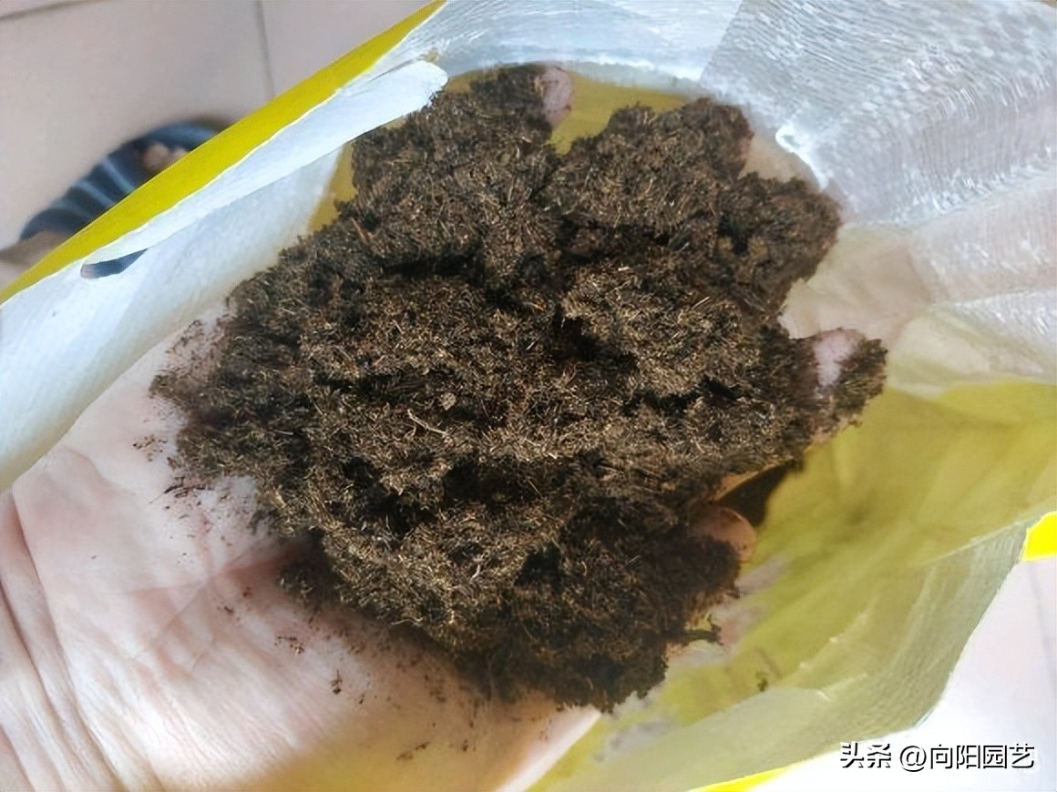 哪种进口泥炭土比较好,进口泥炭土大全