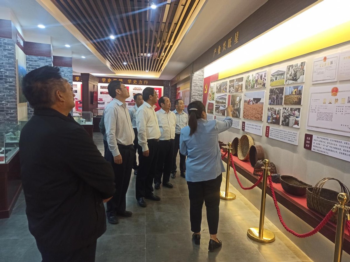 财政部河南监管局到内乡县余关镇开展“四送一助力”结对帮创活动