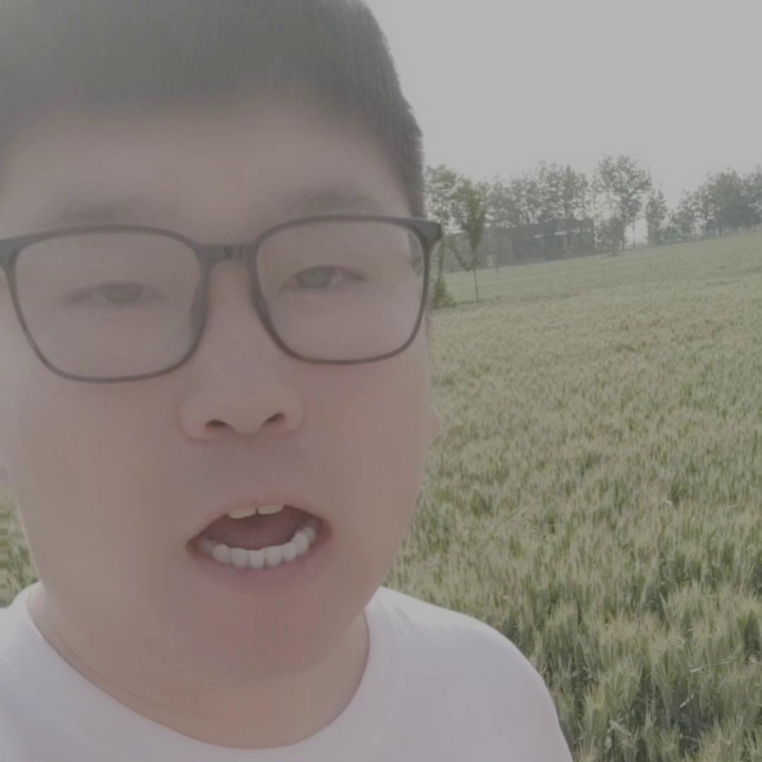 100元左右的玉米能买什么,100元的玉米肥