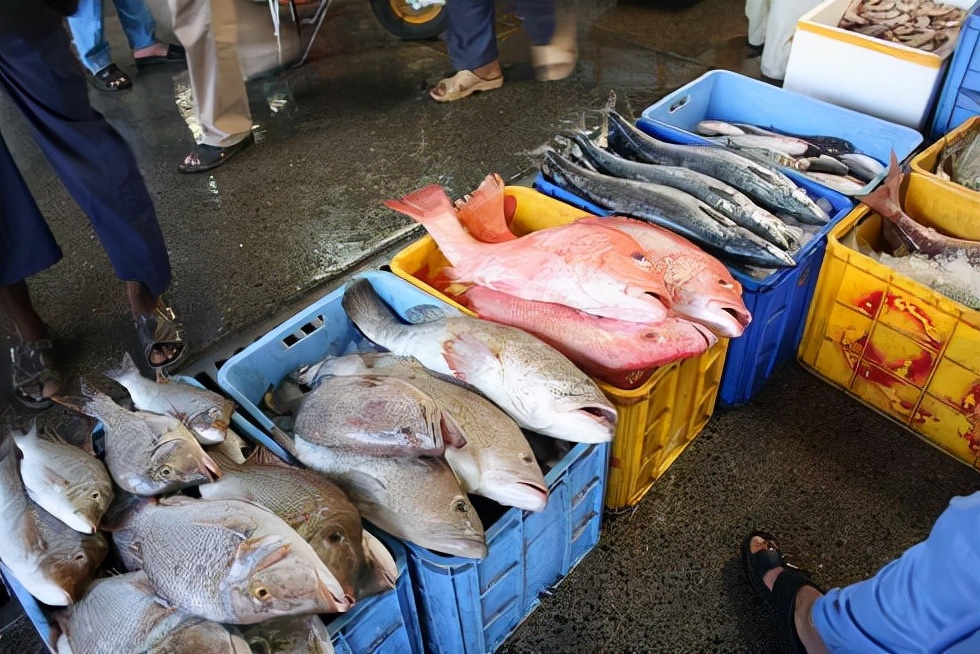 华人深入亲历迪拜真实生活,迪拜真实的消费水平