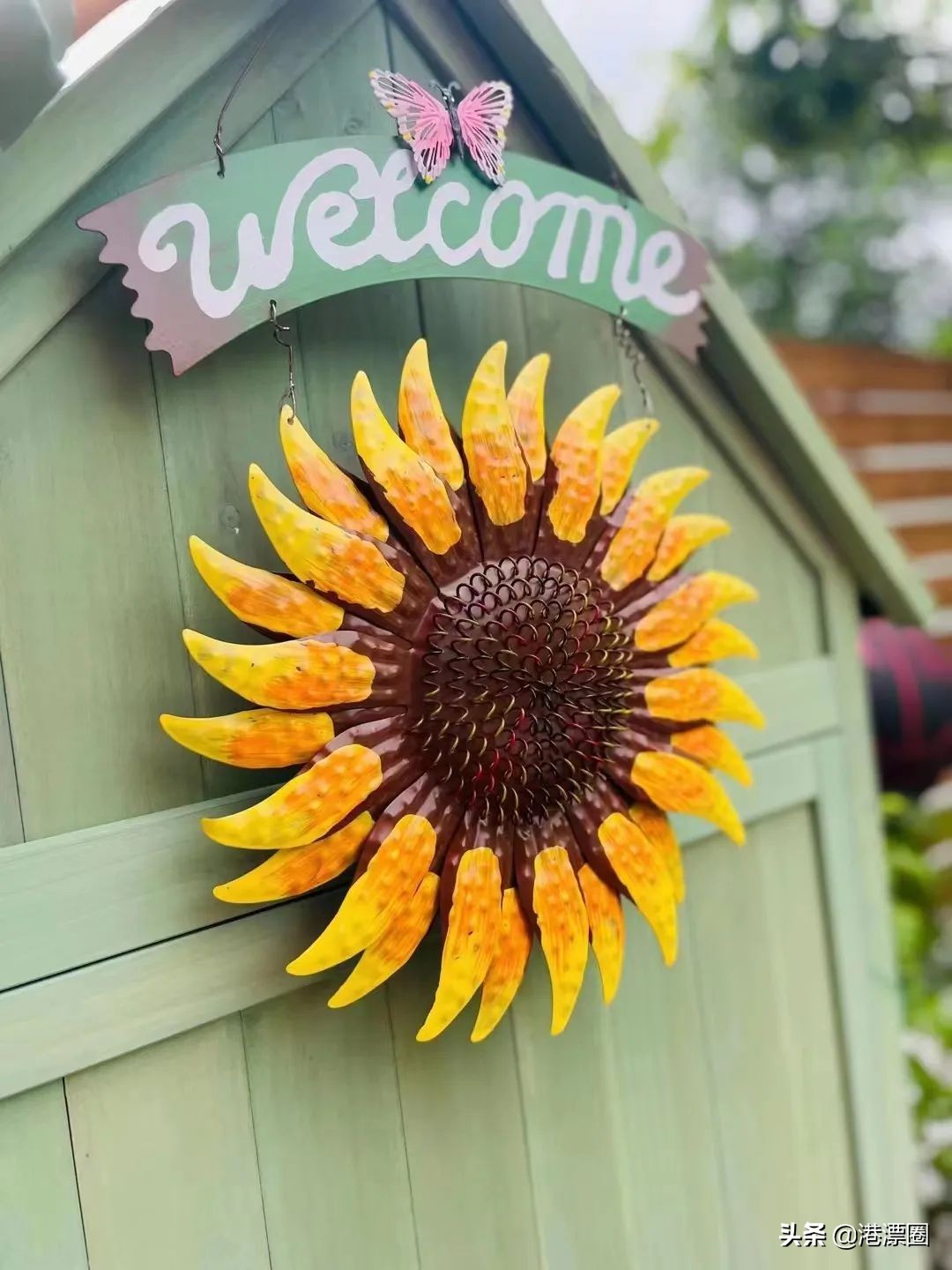 我在香港搬进一个带花园的房子后，直接瘦了六斤……