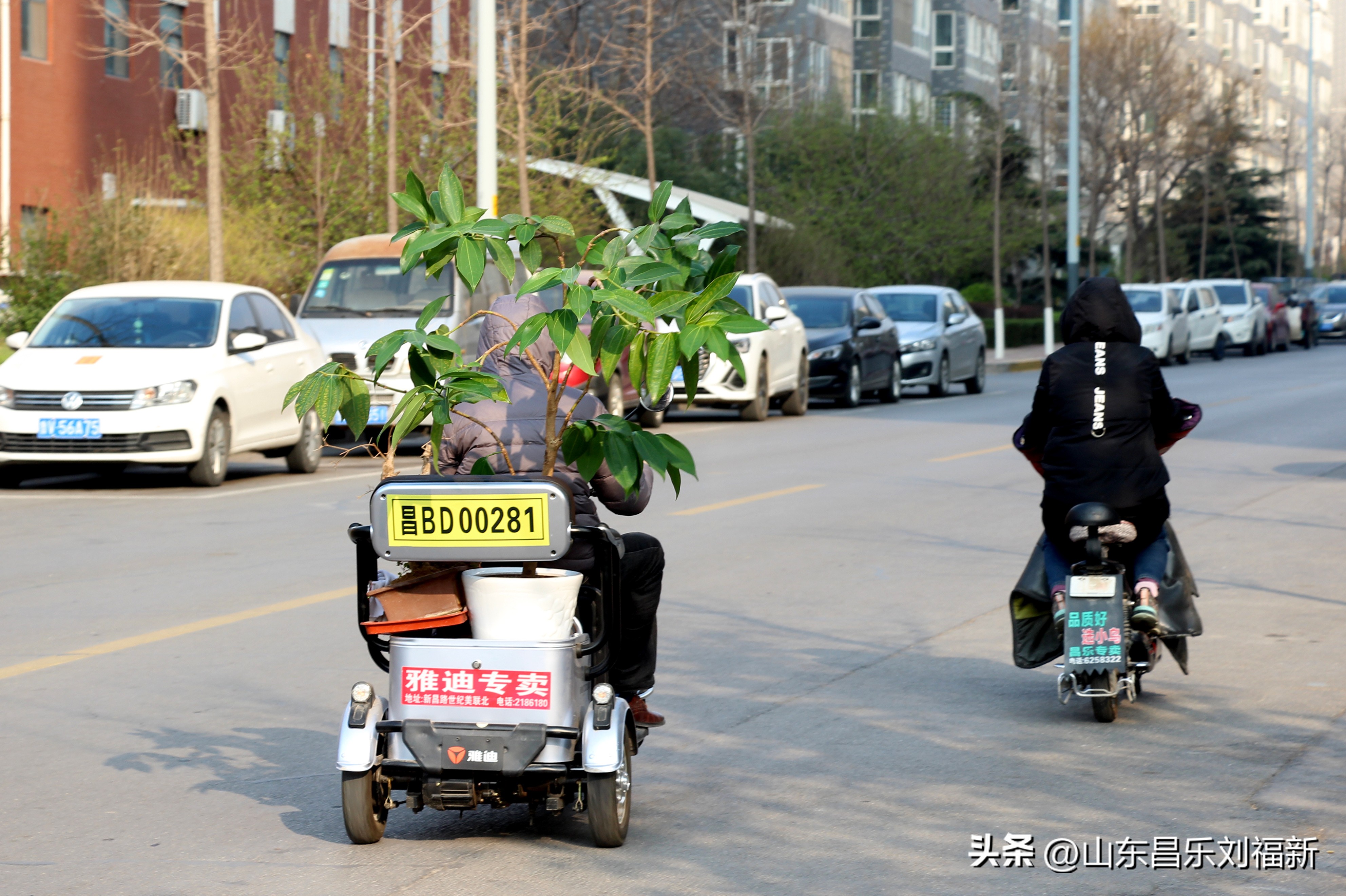 2023年3月中旬散拍·一点儿感受