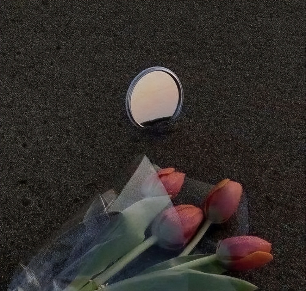 会互相吸引的星座金牛水瓶,分手越久越想前任的星座水瓶座