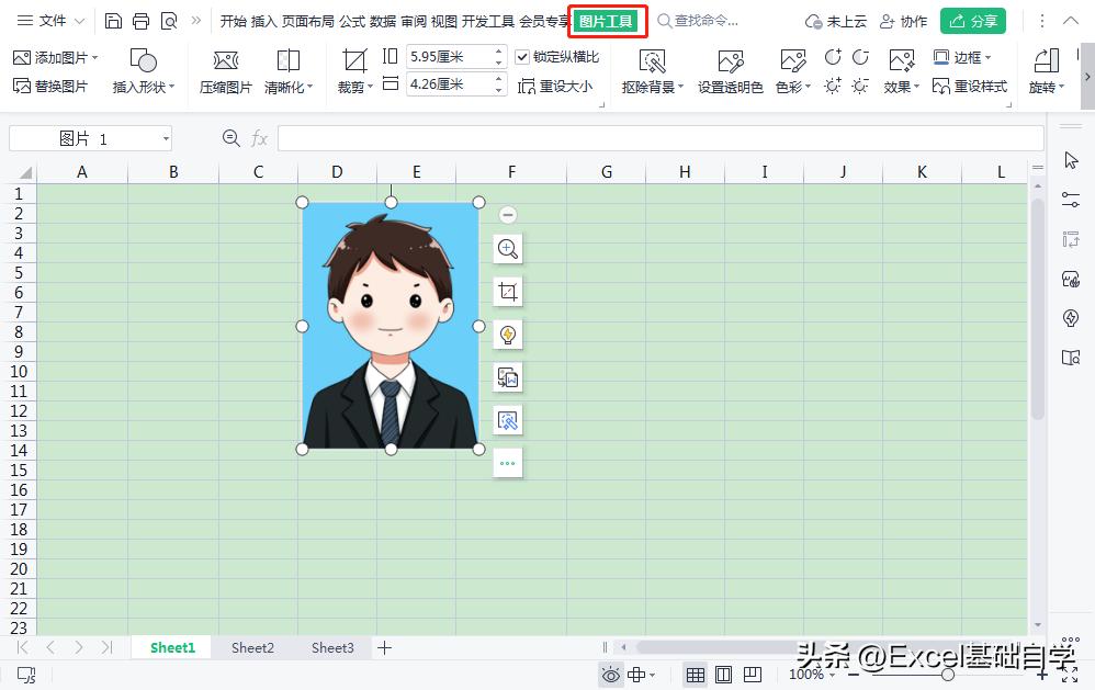 wps表格有底色,wps单元格底色