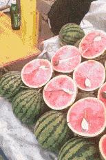 “老鼠贴粘到的，吃了不会犯法吧？”网友：争取死缓吧！哈哈哈