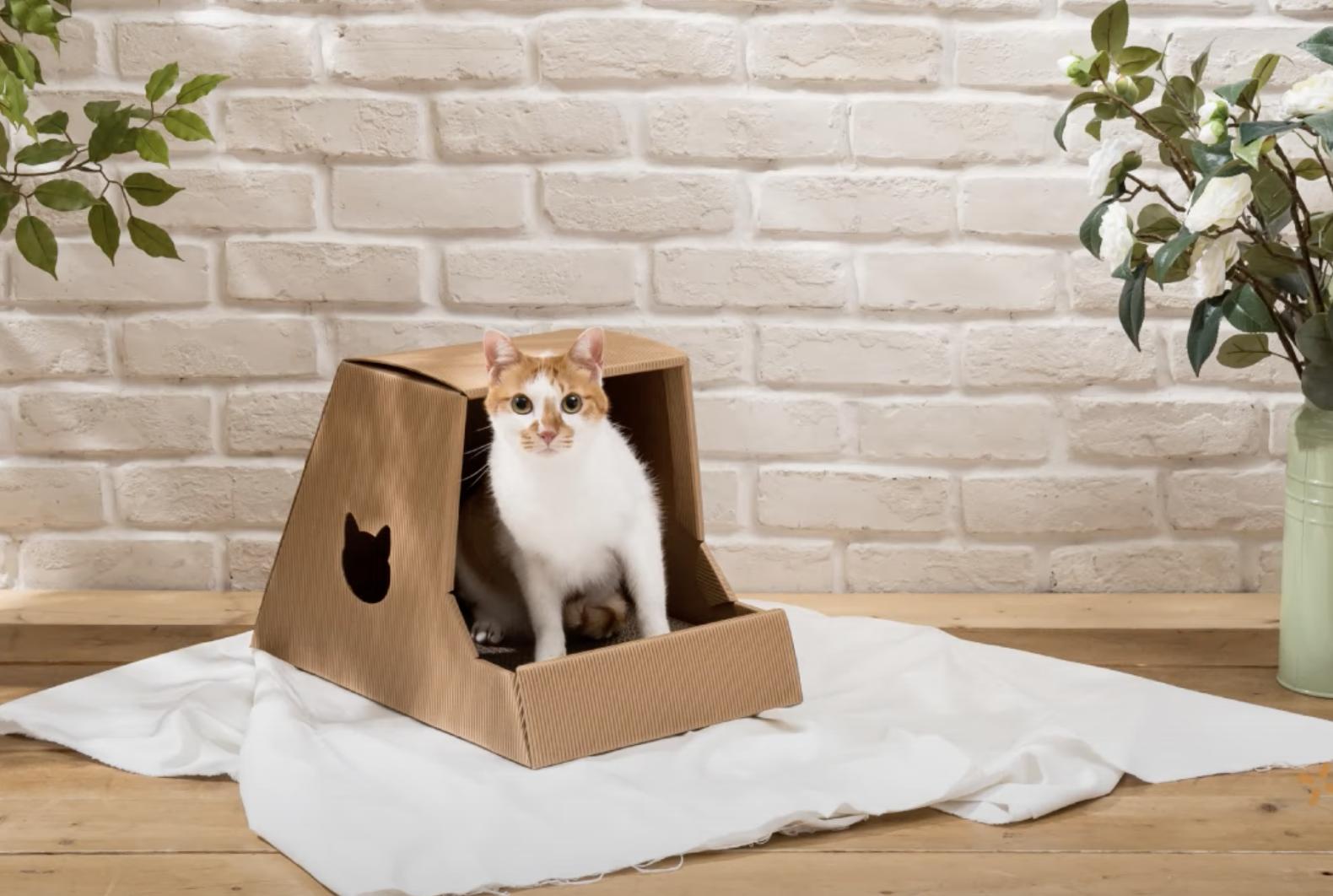 iphone相机拍照模糊技巧,苹果手机拍照设置方法教程