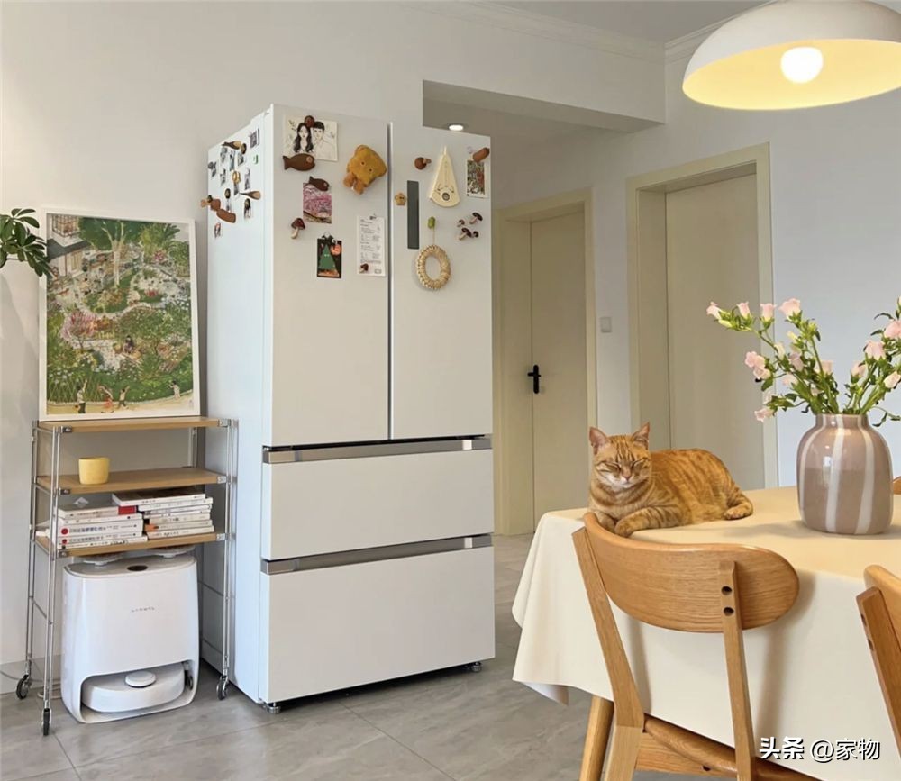 选冰箱看这篇绝对够了,选冰箱不选坑