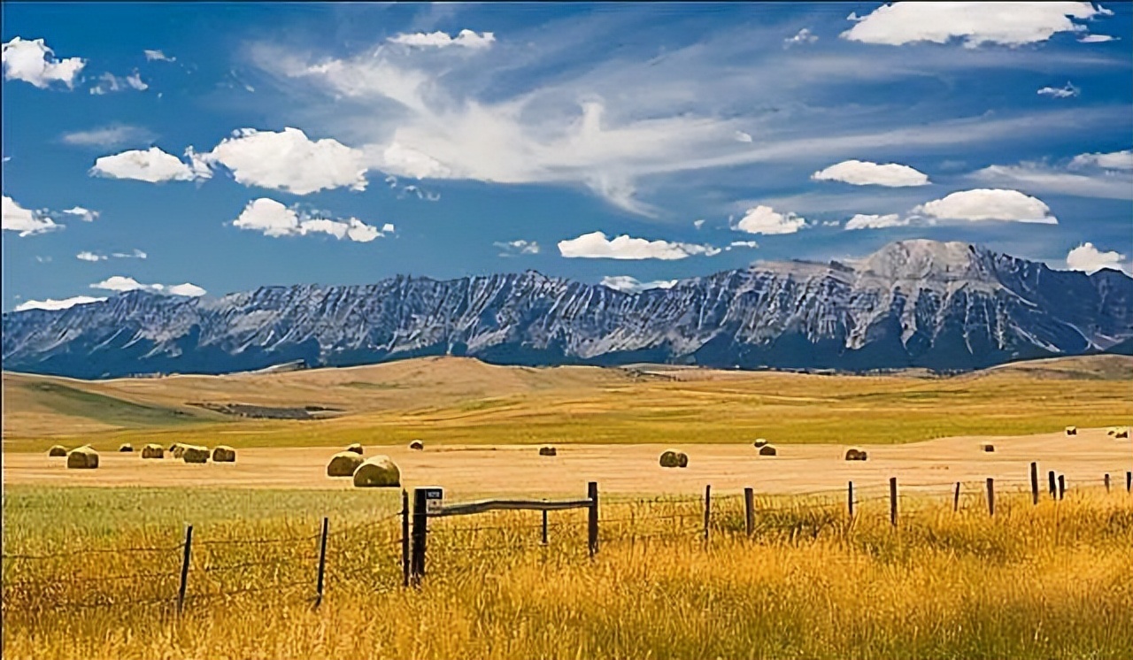 19年加拿大巨轮被堵厦门外海，损失十多亿美元，加总理尝到了苦果