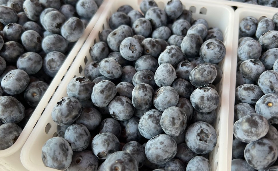 夏季遇到这碱性水果别错过,夏季多吃这六种碱性水果
