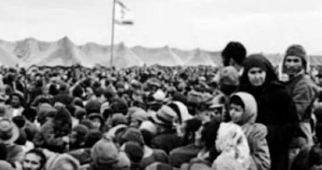 拉姆赞卡德罗夫俄罗斯总统,车臣首脑拉姆赞卡德罗夫