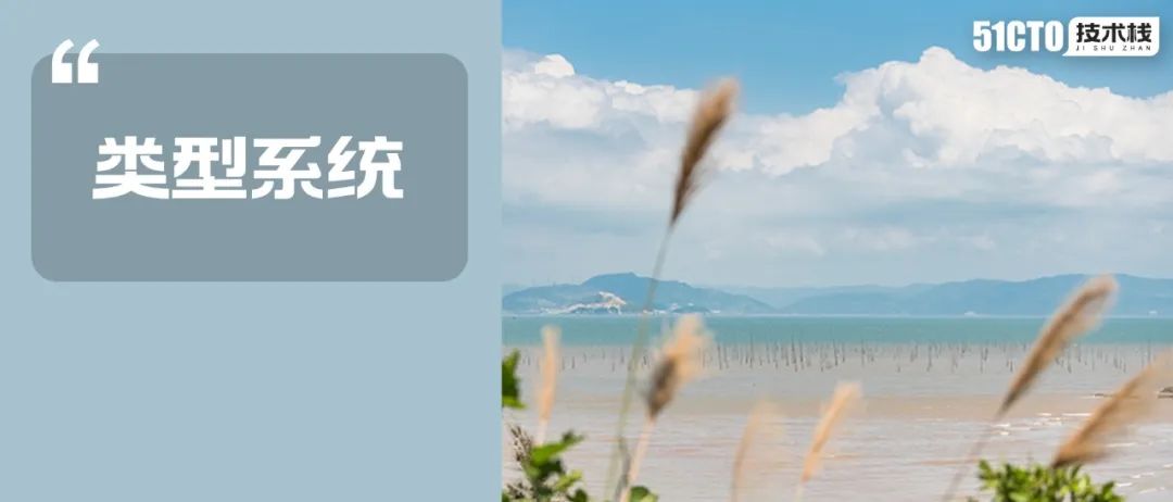 有了Bug，先看看“Type”