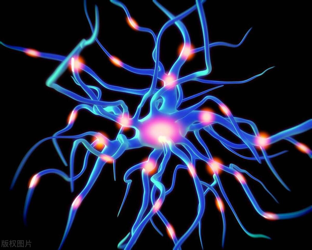 渡边淳一抑郁症的书,白岩松谈失眠抑郁症自愈治愈