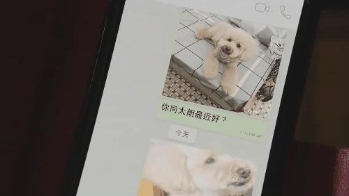 内娱和港剧对比,内娱与港剧对比