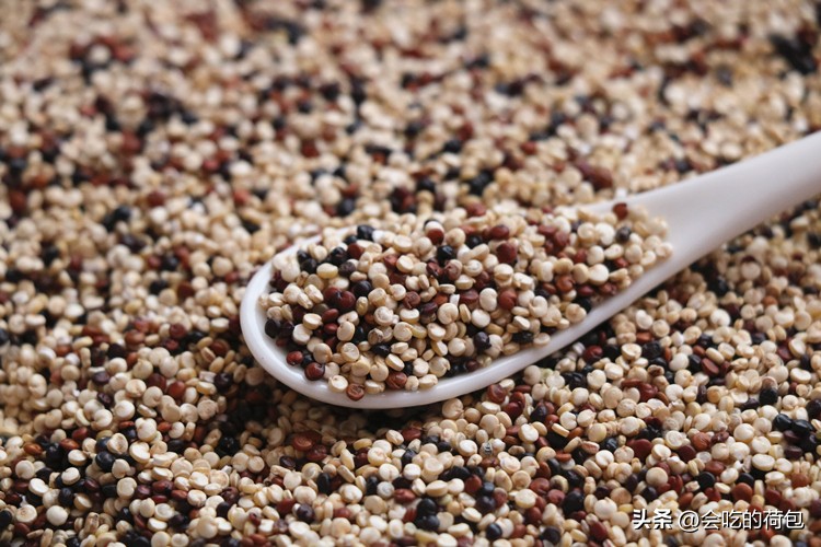 优质蛋白质食物前十名,优质蛋白质食材排行榜前十