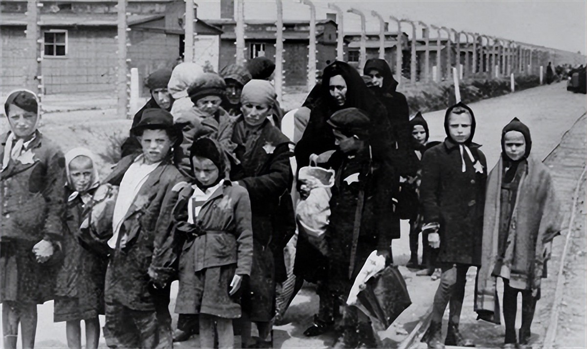 为躲避追捕拯救犹太孤儿,安妮为了躲避大屠杀躲在地下室