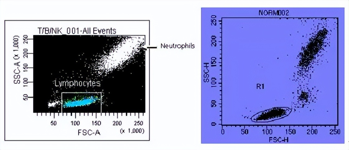 流式细胞术的主要内容,流式细胞术浆细胞多少正常