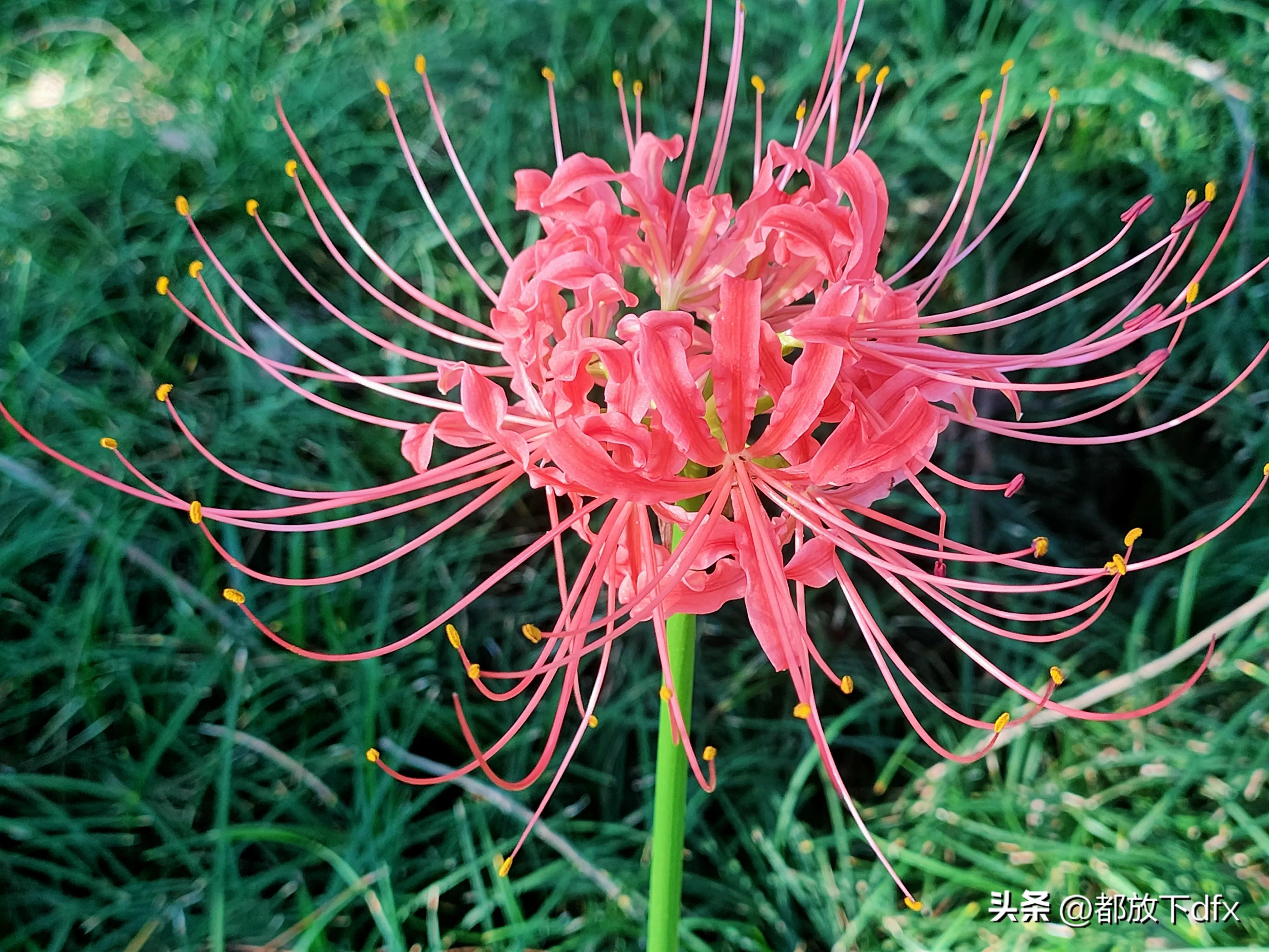 分道扬镳,各走各的路,也挺好的