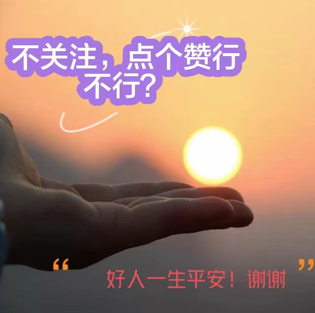 交易者期货论坛,股票跟单论坛