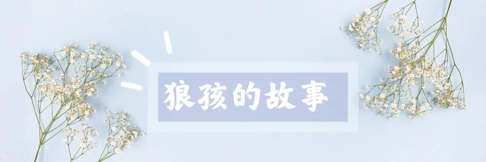 家有二娃如何带从生物进化论看人的成长