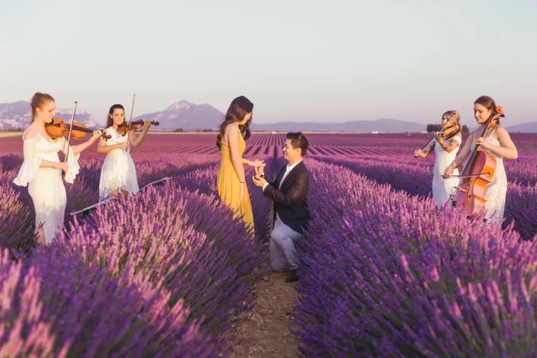 恋爱的味道，不止普罗旺斯桃红