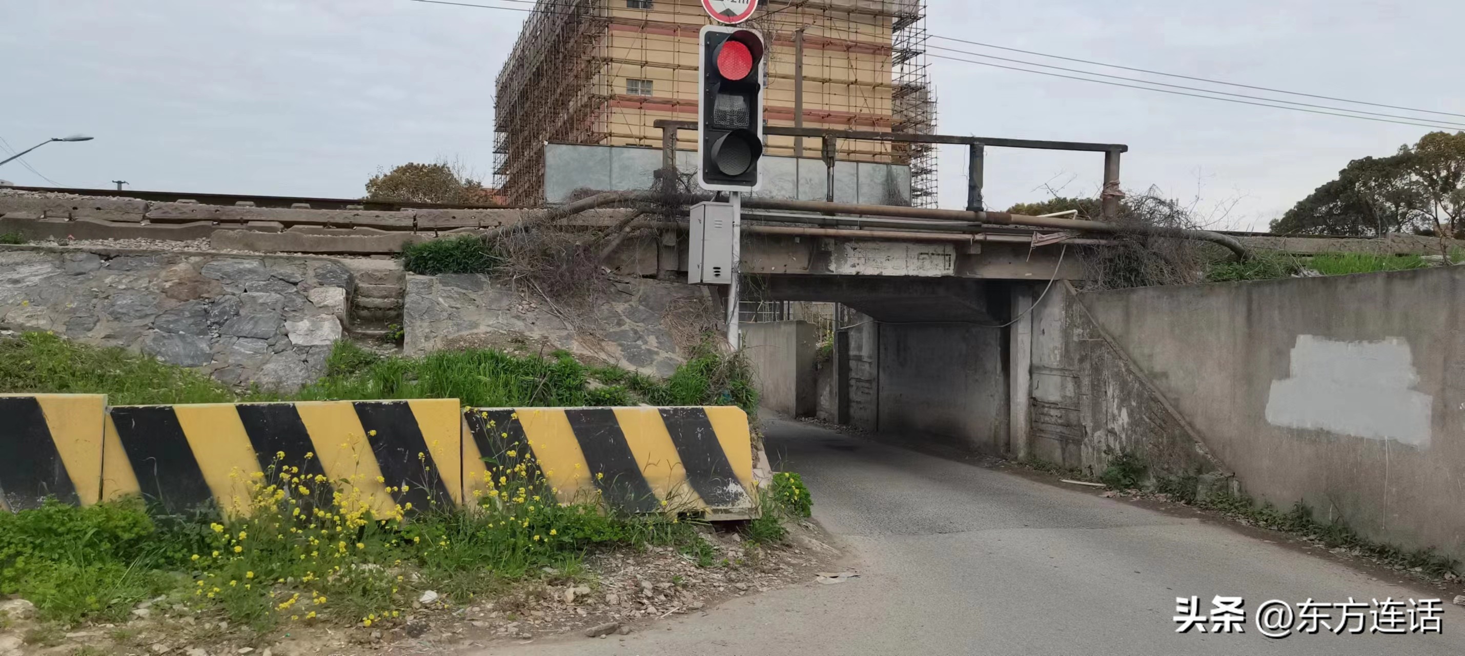 上海光启公园和徐家汇公园,上海公园和北京公园哪个多一些