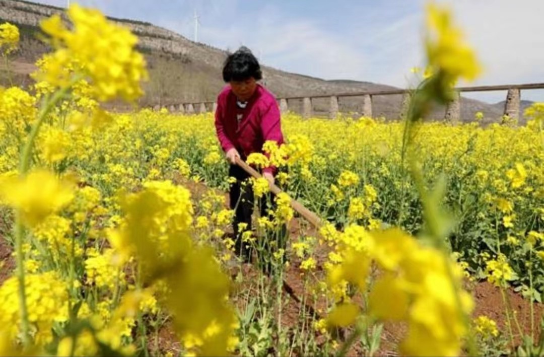 闰年闰月24节气怎么算出来的,二十四节气是什么人发明的