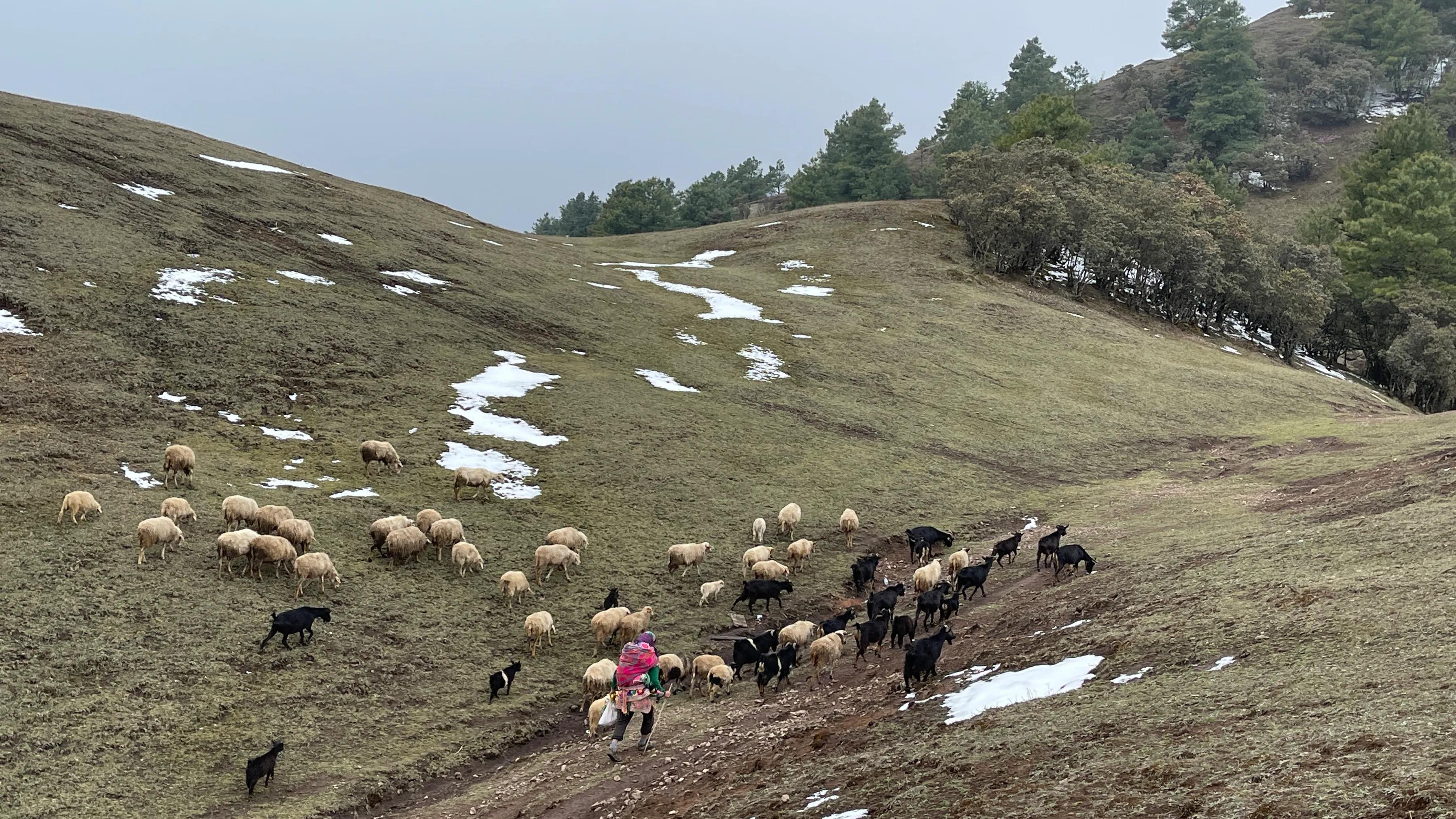赶赴百草岭迎接夏天