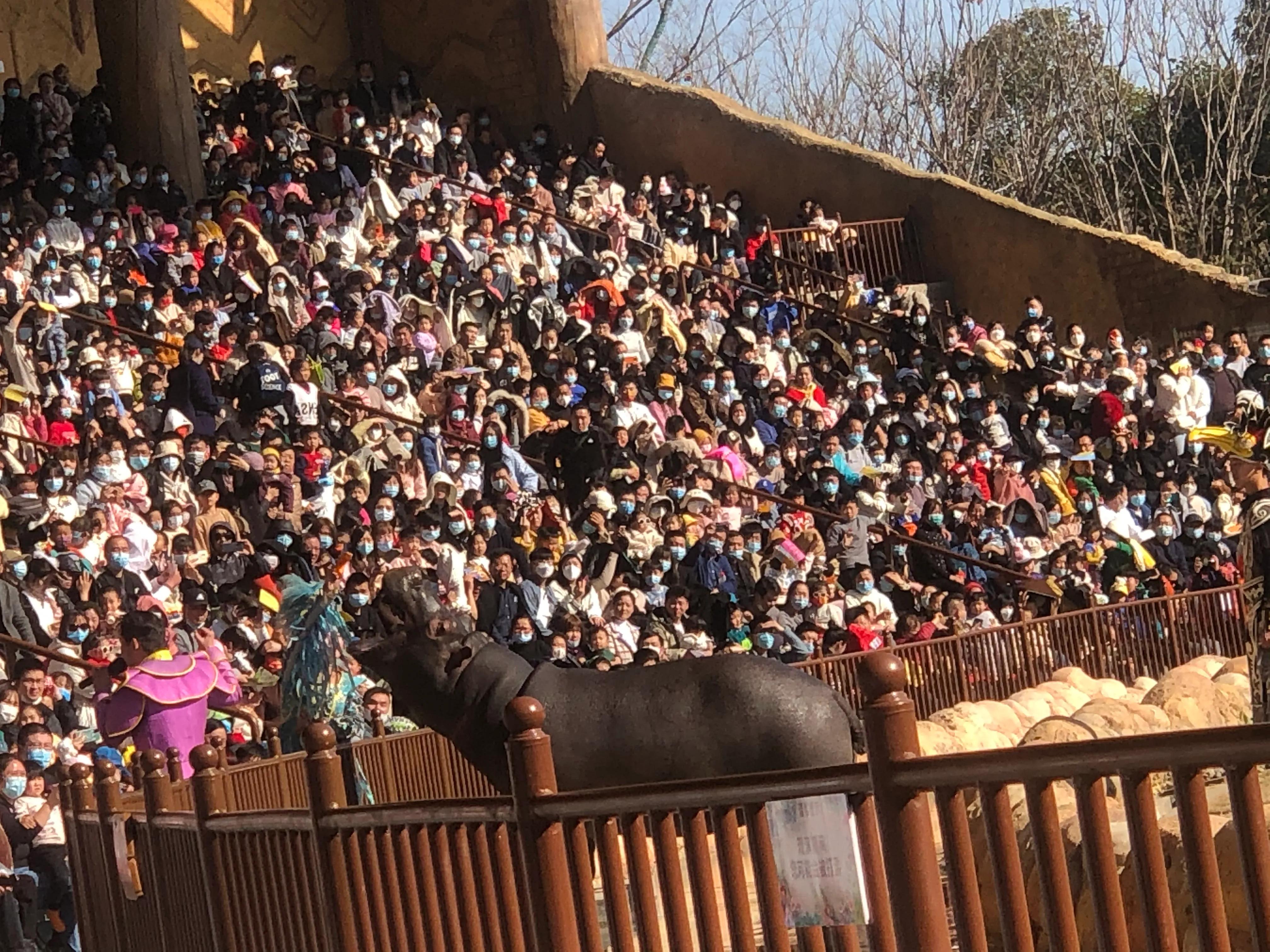 银基动物王国最强游玩攻略,银基动物王国游玩最详细攻略