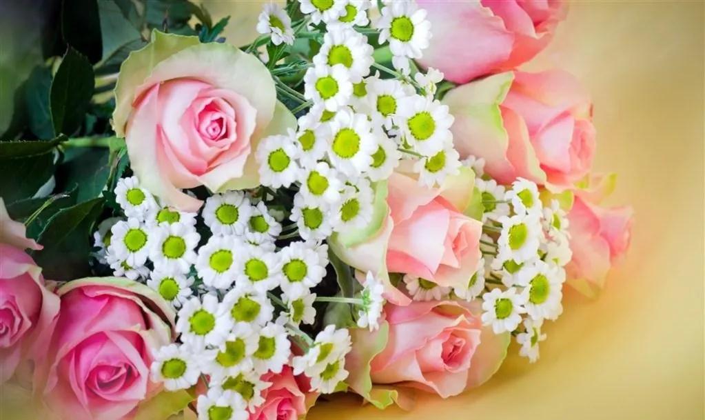 玫瑰花ins高级质感背景图,玫瑰花背景图高清图