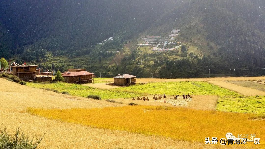 果洛州足球队和范志毅什么关系,范志毅带队青海果洛