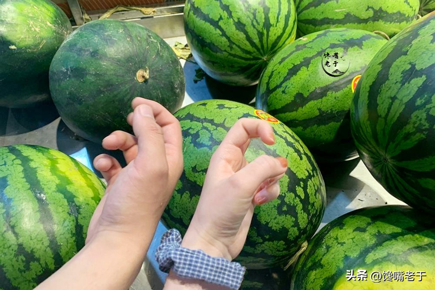 买西瓜要注意以下几点,买西瓜注意这几点