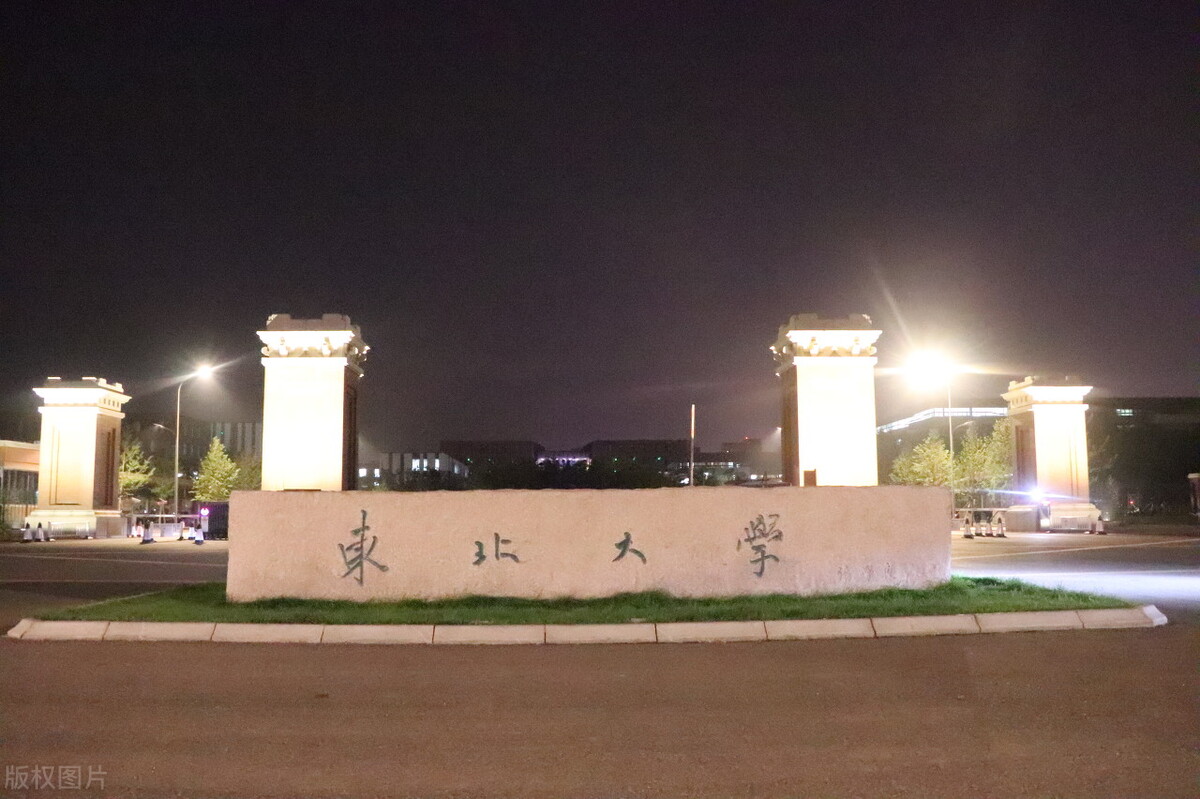 东北大学2020学生就业,东北大学本科毕业就业去向