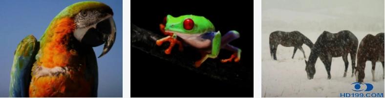 三星lsp9t激光电视参数,三星lsp9t评测