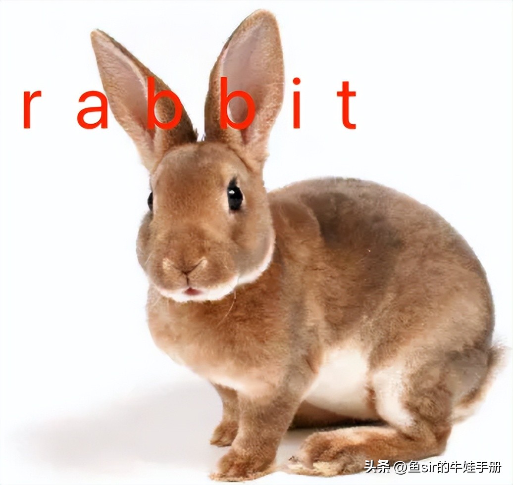 快速背单词的最快方法小学生,背单词的最快有效方法小学生