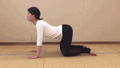 卷尾骨的功效,卷尾骨有什么好处