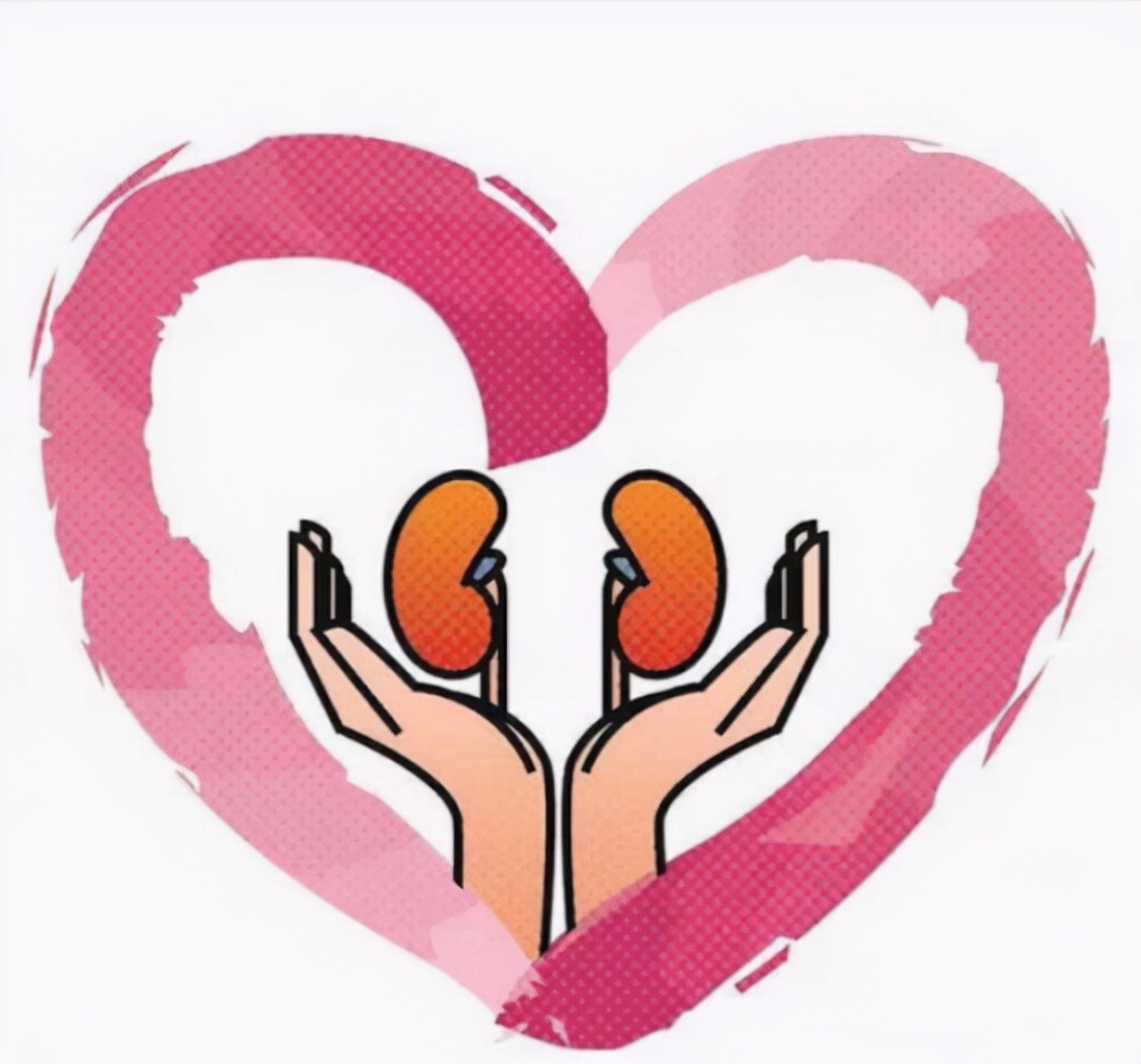 一喝水就不尿是肾不好吗,一喝水尿就多是正常的吗